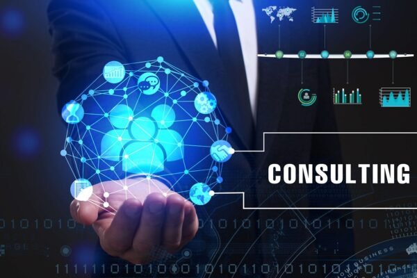 IT consulting in Houston