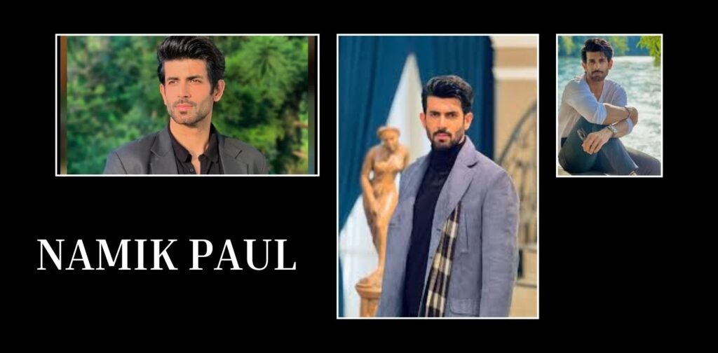 namik paul