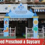 Mindseed Preschool &